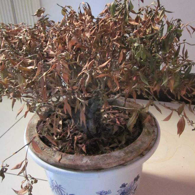 家里有这5种物品一定要尽早处理掉！k8凯发国际俗话说：“财不入脏屋”(图6)
