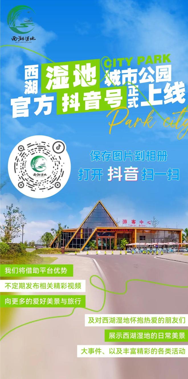10%铜陵一法院房产拍卖创纪录张某吴某……你们被曝光了凯发k8一触即发【铜陵头条0306】106轮竞价溢价2(图2)
